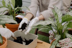 Workshops & Gartenberatung pflanzen umsetzten-vermehren-haende in der erde-