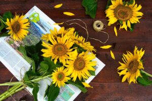 Stressreduktion zeitgruen gartentherapie im pflegebereich sonnenblumen strauss binden