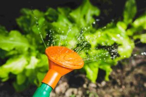 Stressreduktion zeitgruen stressreduktion durch gartenhterapie giessen als entspannung und entschleunigung
