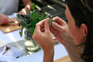 Stressreduktion zeitgruen stressreduktion durch gartentherapie mit pflanzen mit allen sinnen wahrnehmen