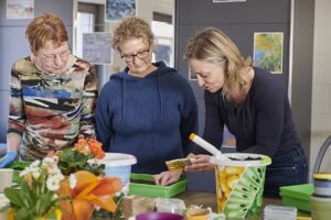 Workshops & Gartenberatung zeitgruen wokshop pflanzen aus samen anziehen tomatenpflanze ansaeen